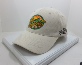 Air Mesh caps