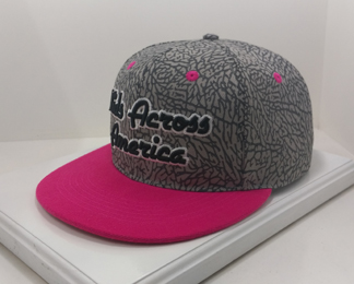 Hiphop Caps